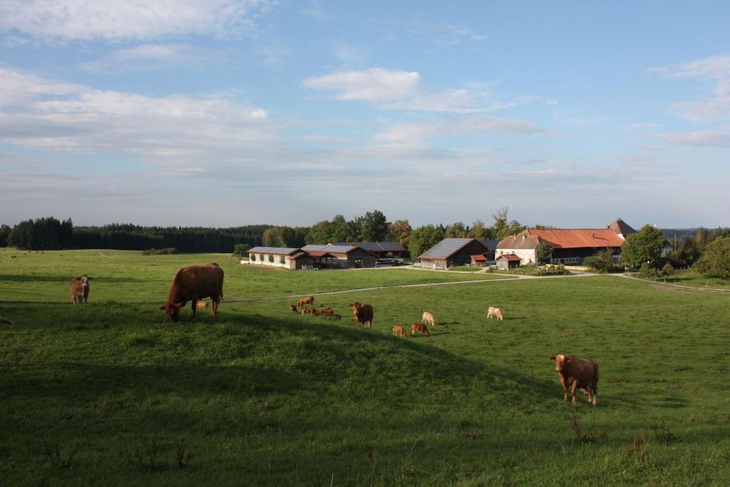 Gut Grasleiten